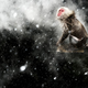 Illustration for article titled The best Wildlife Photographer of 2013